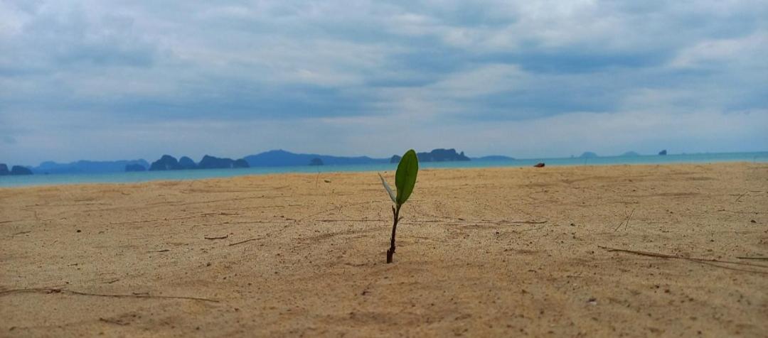 Koh Yao Noi Beach Resort Bagian luar foto